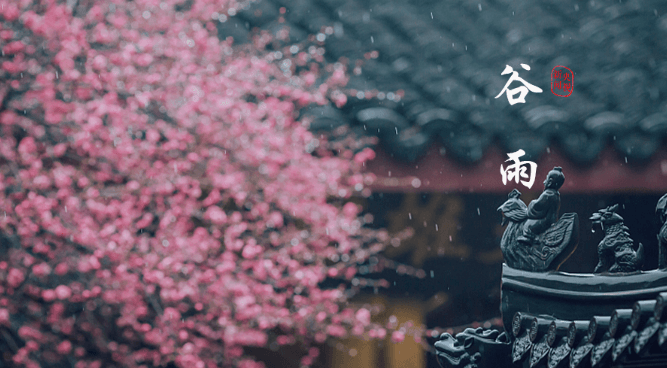 好快呀，春天的小尾巴就要摇走啦