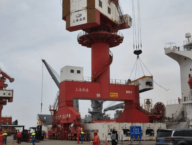 奇异果包船，来啦！