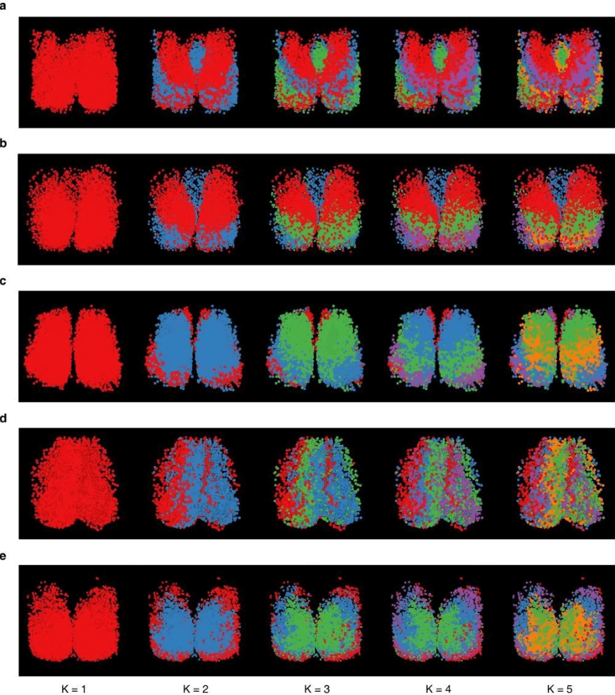新发现！祝贺我国科学家