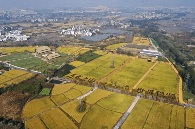 徐义华：农业的起源及其意义