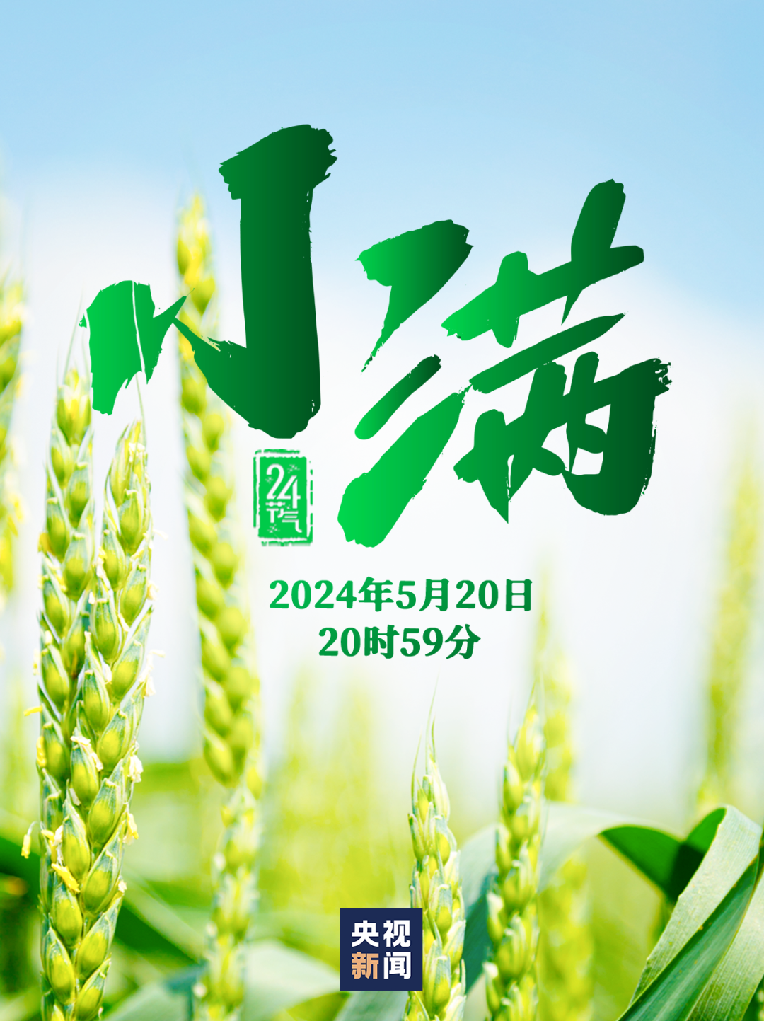 人间最好是“小满”