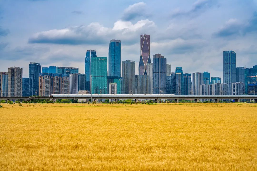 “麦田CBD”，唤醒的不只是乡愁