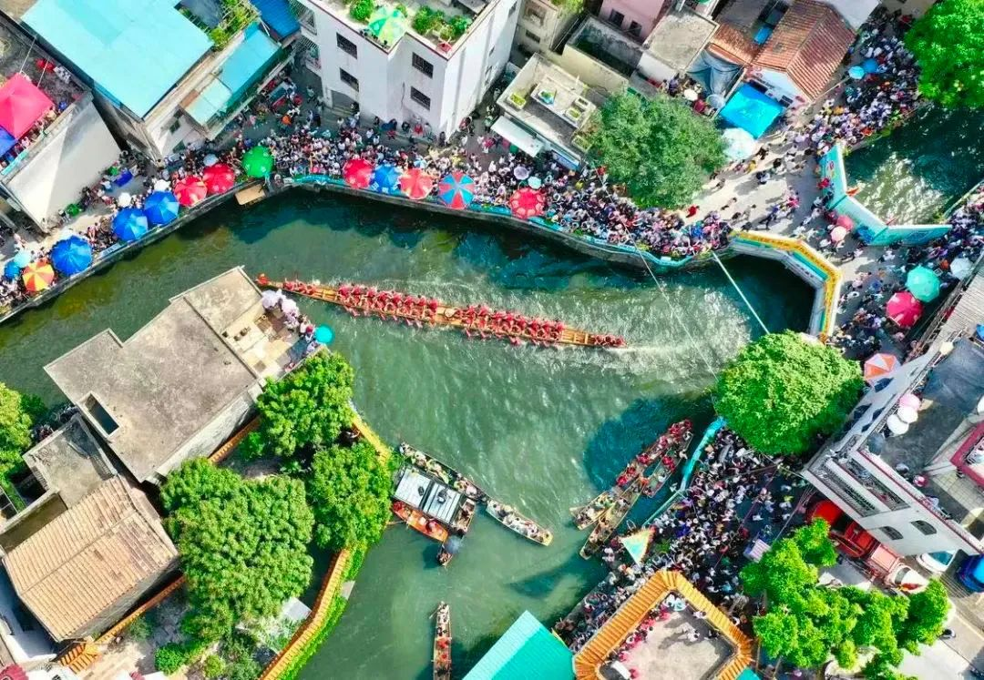 被赛龙舟“硬控”了！文旅新顶流为何是它？