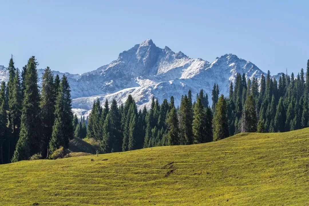 张安福 牛齐培：天山廊道交通视域下的唐代轮台地望考
