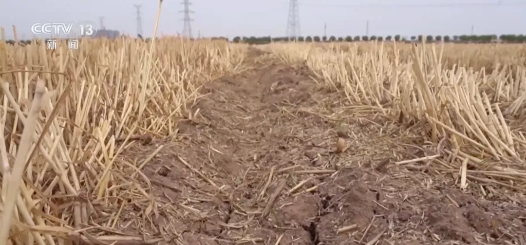 热ྂ热ྂ热ྂ！雨=͟͟͞͞雨=͟͟͞͞雨！三预警齐发！高温持续、暴雨上线→