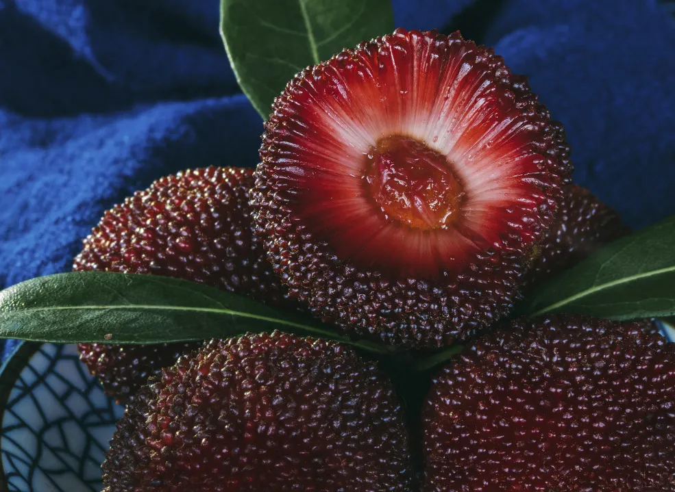 40 亿 元 ， “ 梅 梅 ” 拿 下 ！