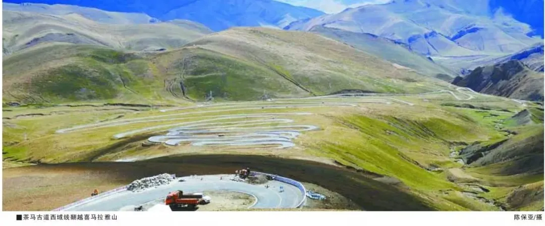 陈保亚：从丝绸之路到茶马古道