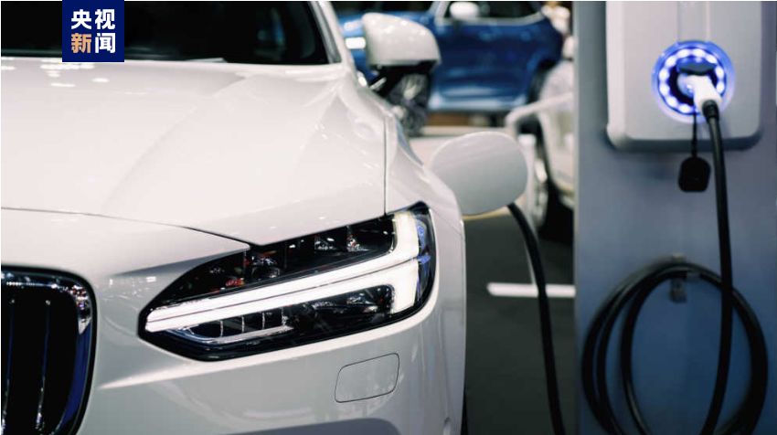 我驻加使馆：中方将采取一切必要措施