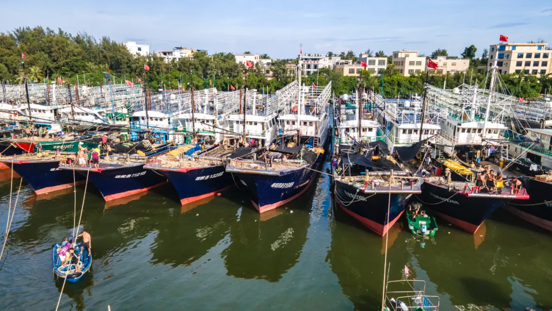 多地停航、停运！台风“摩羯”将在这里登陆