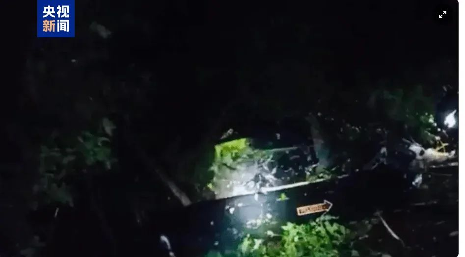 该国突发坠机，国家警察局长等9人身亡