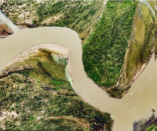 杨海中 杨曦：略论河洛文化之元典观念