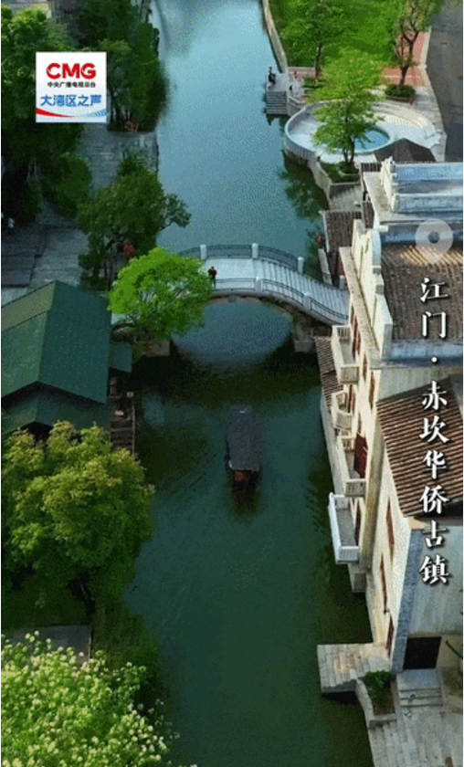 勇立潮头大湾区 | 百年赤坎 保护与发展的和谐交响