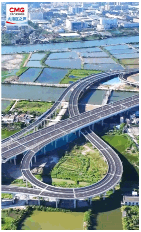 勇立潮头大湾区 | 一桥通三市！大湾区互联互通再提速