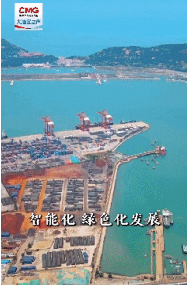 勇立潮头大湾区 | 江边“搭积木” 大湾区“智”造船舶