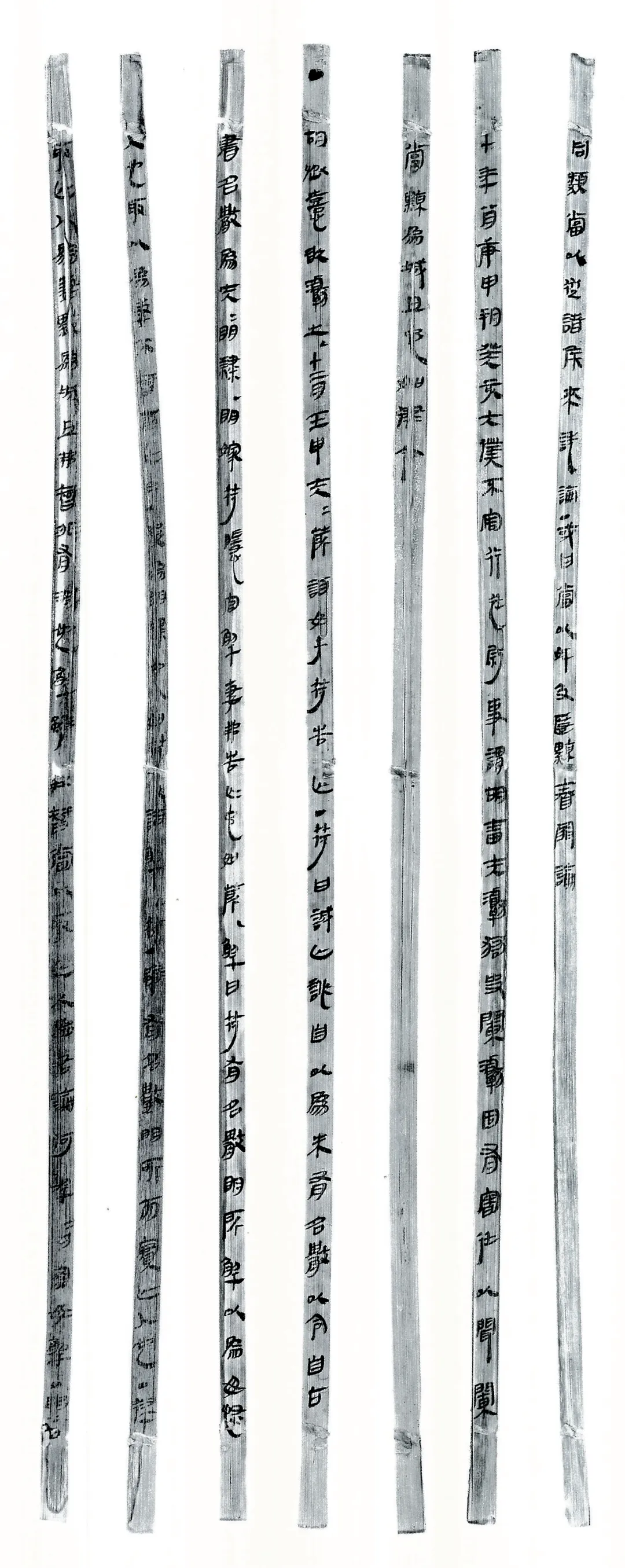 张荣强：“人不土断而地著”——中国古代户籍制度从前期向后期的转变