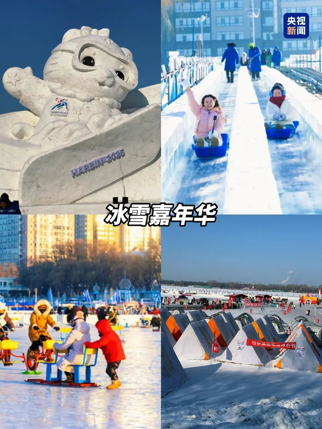 今晚开幕🥳尔滨：一起解锁冰雪Citywalk→
