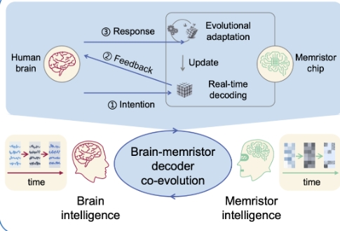 中國在腦機接口領域取得新突破