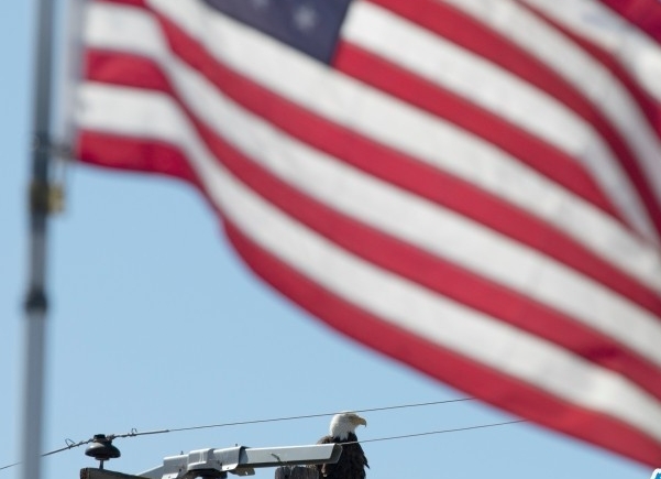 美聯邦僱員收連環電郵自證工作績效