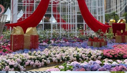 香港花展結束將派約3500盆花卉予市民