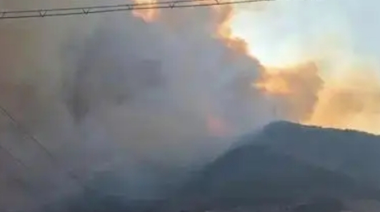 韓國山火致4消防員遇難 多地進入“災難狀態”