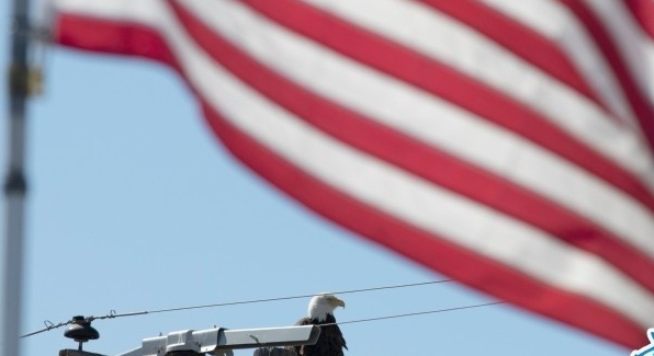 關稅談判登場　特朗普會放過美國盟友嗎？