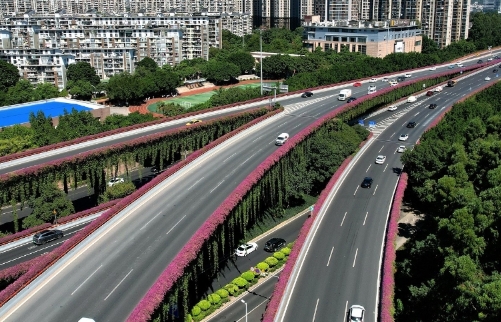 中國城市規劃“全面體檢”套餐出台