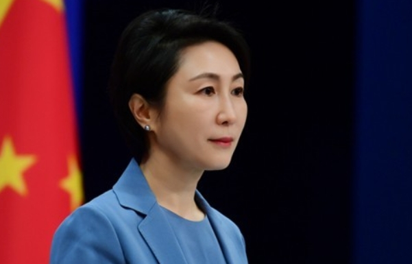 中方：巴基斯坦副總理將訪華