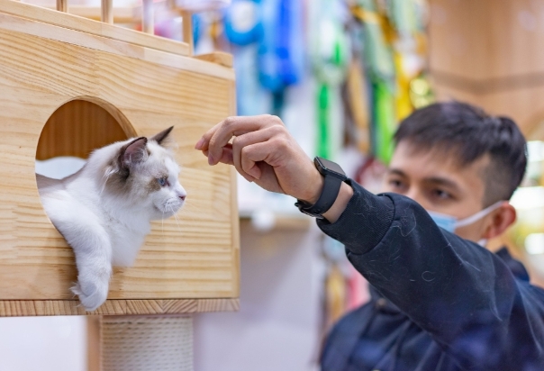 內地貓狗抵港檢疫期減至30天，深圳率先實施