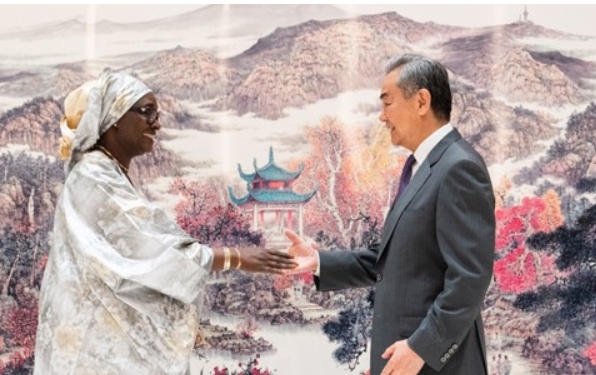 王毅會見非洲多國外長　籲增強全球南方國家團結