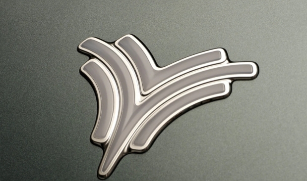 內地一新能源車商陷財困　員工被通知居家辦公