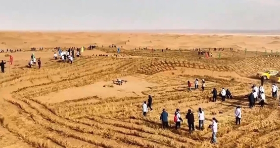 內蒙古完成三大沙漠林草鎖邊帶合龍 全長1856公里