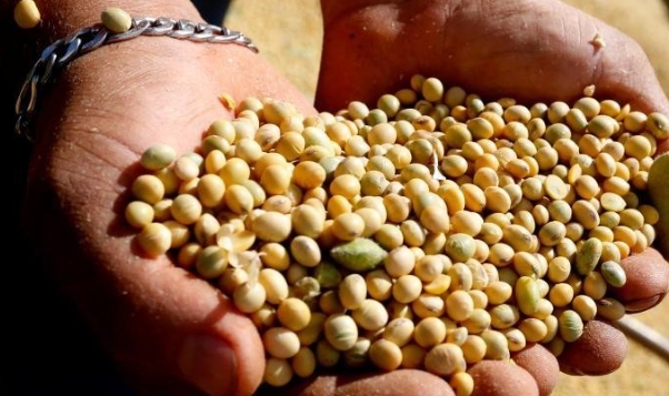 6月份中國自巴西進口大豆數量遠超美國