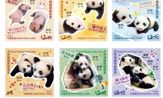 香港郵政將發行大熊貓龍鳳胎寶寶特別郵票