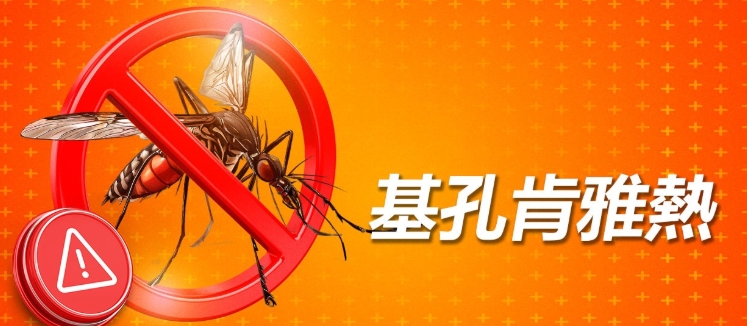 廣東過去7天新增2892例基孔肯雅熱本地病例
