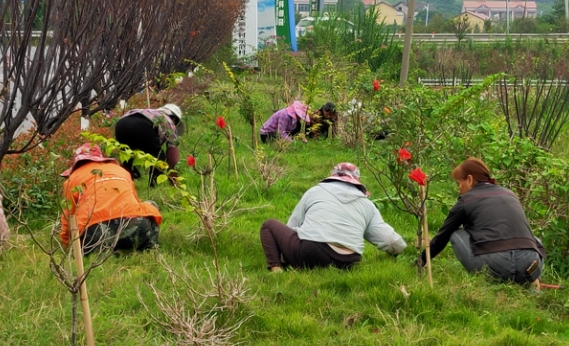 衡陽縣梅花村開拓集體經濟發展新路徑
