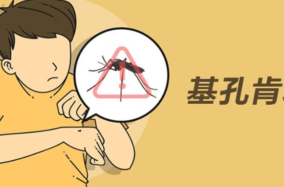 網售基孔肯雅熱快測 香港衞生署：未獲認證