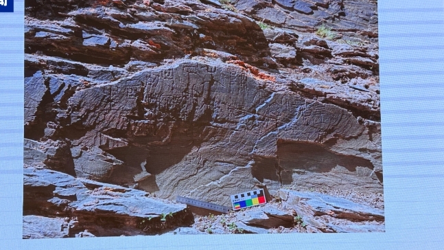 中國青海黃河源區確認發現秦代刻石