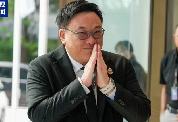 泰國為泰黨選出新任黨首