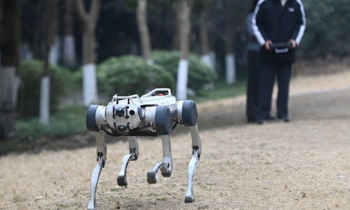 中國人形機器人行業火熱 雲深處科技準備上市