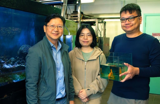 港珠兩地水域發現軟珊瑚新物種