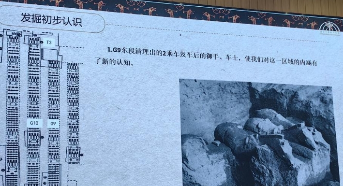 秦兵馬俑二號坑新發現兩乘戰車