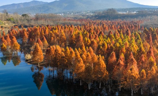 中國濕地面積亞洲第 一 構建保護新格局