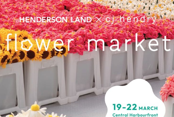 恒地50周年 中環海濱免費賞“毛絨花海”（附預約連結）