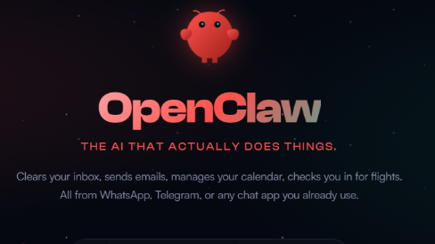 “養龍蝦”爆火！香港數字辦：潛在風險不容忽視