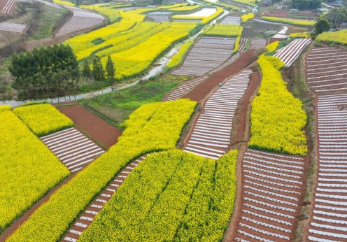 中國土地總體生產及生態功能穩中向好