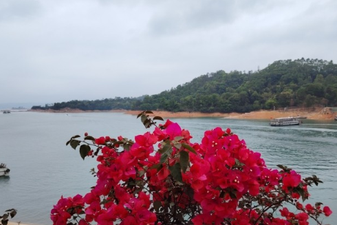 廣東河源：以水養人發展文旅產業